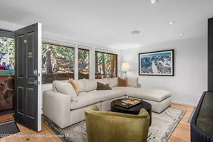 731 S Mill St, Aspen, CO 81611 - Photo 10