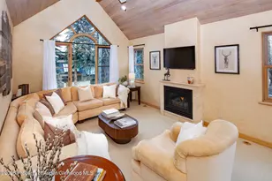 333 W Hopkins Ave, Aspen, CO 81611 - Photo 1