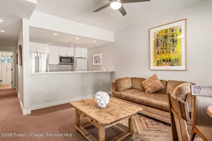 645 Willoughby Way, Aspen, CO 81611 - Photo 30