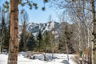 645 Willoughby Way, Aspen, CO 81611 - Photo 6