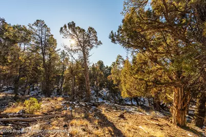 361 Pinon Drive, Glenwood Springs, CO 81601 - Photo 12