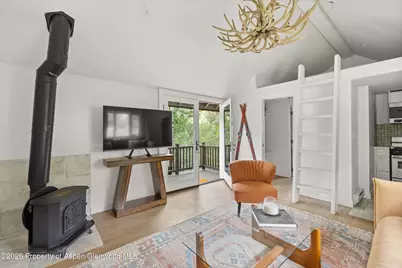 5387 Castle Creek Road, Aspen, CO 81611 - Photo 28