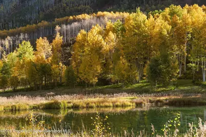 5387 Castle Creek Road, Aspen, CO 81611 - Photo 18