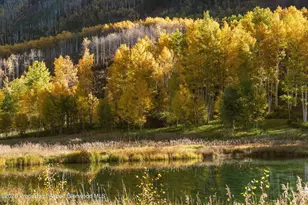 5387 Castle Creek Rd, Aspen, CO 81611 - Photo 18