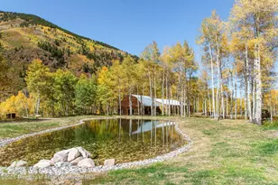 5387 Castle Creek Rd, Aspen, CO 81611 - Photo 16