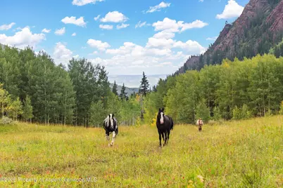 5387 Castle Creek Road, Aspen, CO 81611 - Photo 4