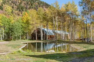 5387 Castle Creek Rd, Aspen, CO 81611 - Photo 16