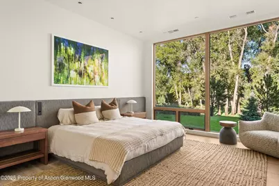 103 Willow Road #101, Basalt, CO 81621 - Photo 12