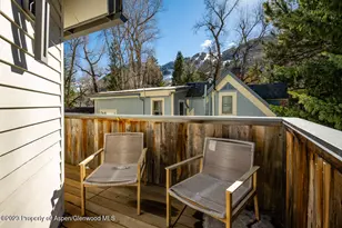 222 W Hopkins Ave, Aspen, CO 81611 - Photo 20