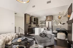 222 W Hopkins Ave, Aspen, CO 81611 - Photo 4