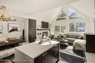 222 W Hopkins Ave, Aspen, CO 81611 - Photo 1