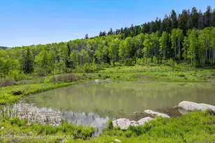 6855 Capitol Creek Rd, Snowmass, CO 81654 - Photo 74