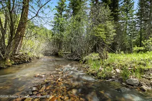 6855 Capitol Creek Rd, Snowmass, CO 81654 - Photo 72
