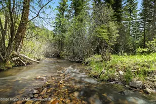 6855 Capitol Creek Rd, Snowmass, CO 81654 - Photo 72