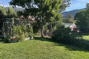 517 W 13th St, Glenwood Springs, CO 81601 - Photo 28