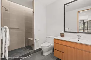 45 Wood Rd, Snowmass Village, CO 81615 - Photo 32