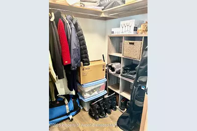 45 Wood Road #501, Snowmass Village, CO 81615 - Photo 34