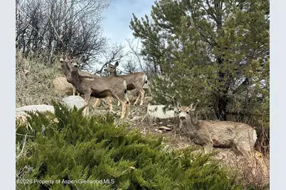 304 Waterview Drive, Snowmass, CO 81654 - Photo 46