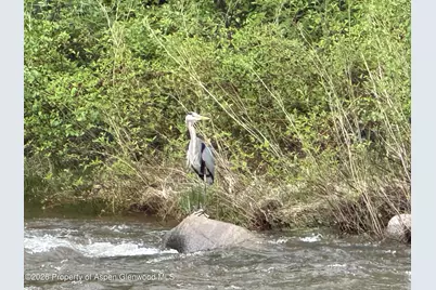 304 Waterview Drive, Snowmass, CO 81654 - Photo 42