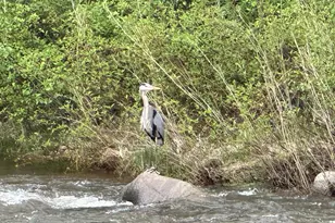 304 Waterview Dr, Snowmass, CO 81654 - Photo 42