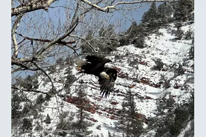 304 Waterview Drive, Snowmass, CO 81654 - Photo 28