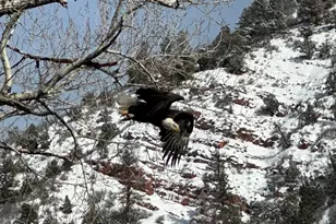 304 Waterview Dr, Snowmass, CO 81654 - Photo 28