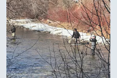 304 Waterview Drive, Snowmass, CO 81654 - Photo 36