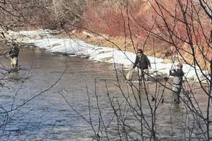 304 Waterview Dr, Snowmass, CO 81654 - Photo 36