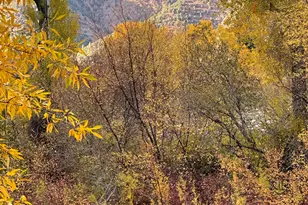 304 Waterview Dr, Snowmass, CO 81654 - Photo 48