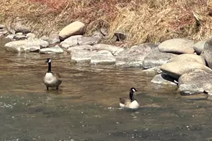 304 Waterview Dr, Snowmass, CO 81654 - Photo 44