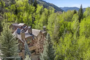 43001 E Hwy 82, Aspen, CO 81611 - Photo 44