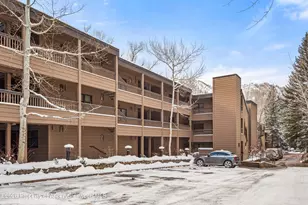 610 S West End St, Aspen, CO 81611 - Photo 14