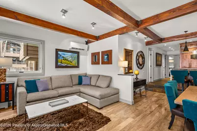 610 S West End Street #D103, Aspen, CO 81611 - Photo 6