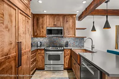 610 S West End Street #D103, Aspen, CO 81611 - Photo 8
