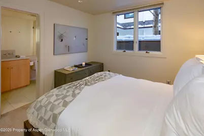 506 W Hallam Street, Aspen, CO 81611 - Photo 16