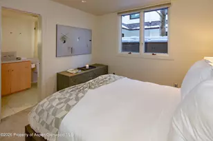 506 W Hallam St, Aspen, CO 81611 - Photo 16