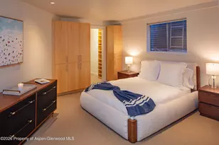 506 W Hallam St, Aspen, CO 81611 - Photo 8