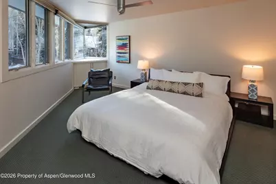 506 W Hallam Street, Aspen, CO 81611 - Photo 14