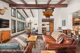 690 Carriage Way, Snowmass Village, CO 81615 - Photo 8