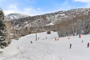 690 Carriage Way, Snowmass, CO 81615 - Photo 4