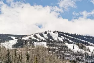 810 Ridge Rd, Snowmass Village, CO 81615 - Photo 28