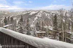 150 Carriage Way, Snowmass Village, CO 81615 - Photo 16