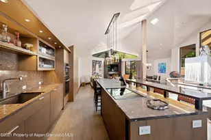 727 E Hopkins Ave, Aspen, CO 81611 - Photo 6