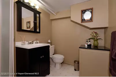 262 Midland Avenue, Basalt, CO 81621 - Photo 38