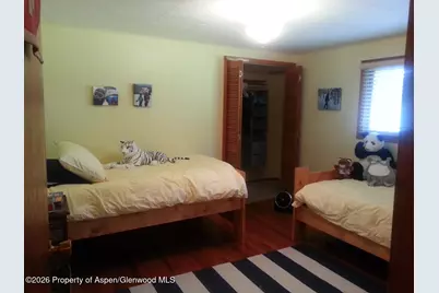 262 Midland Avenue, Basalt, CO 81621 - Photo 20