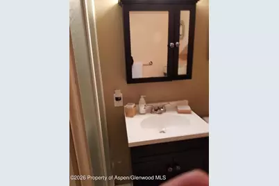 262 Midland Avenue, Basalt, CO 81621 - Photo 40