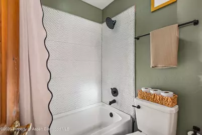 133 Hawk Lane Lane, Basalt, CO 81621 - Photo 20