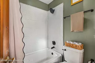 133 Hawk Ln Ln, Basalt, CO 81621 - Photo 20