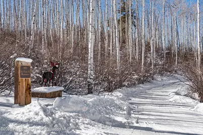 971 Cluny Road, Aspen, CO 81611 - Photo 2