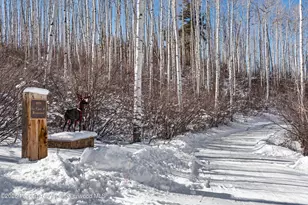 971 Cluny Rd, Aspen, CO 81611 - Photo 2